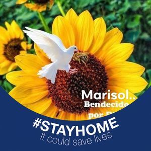 Meet your Posher, Marizol